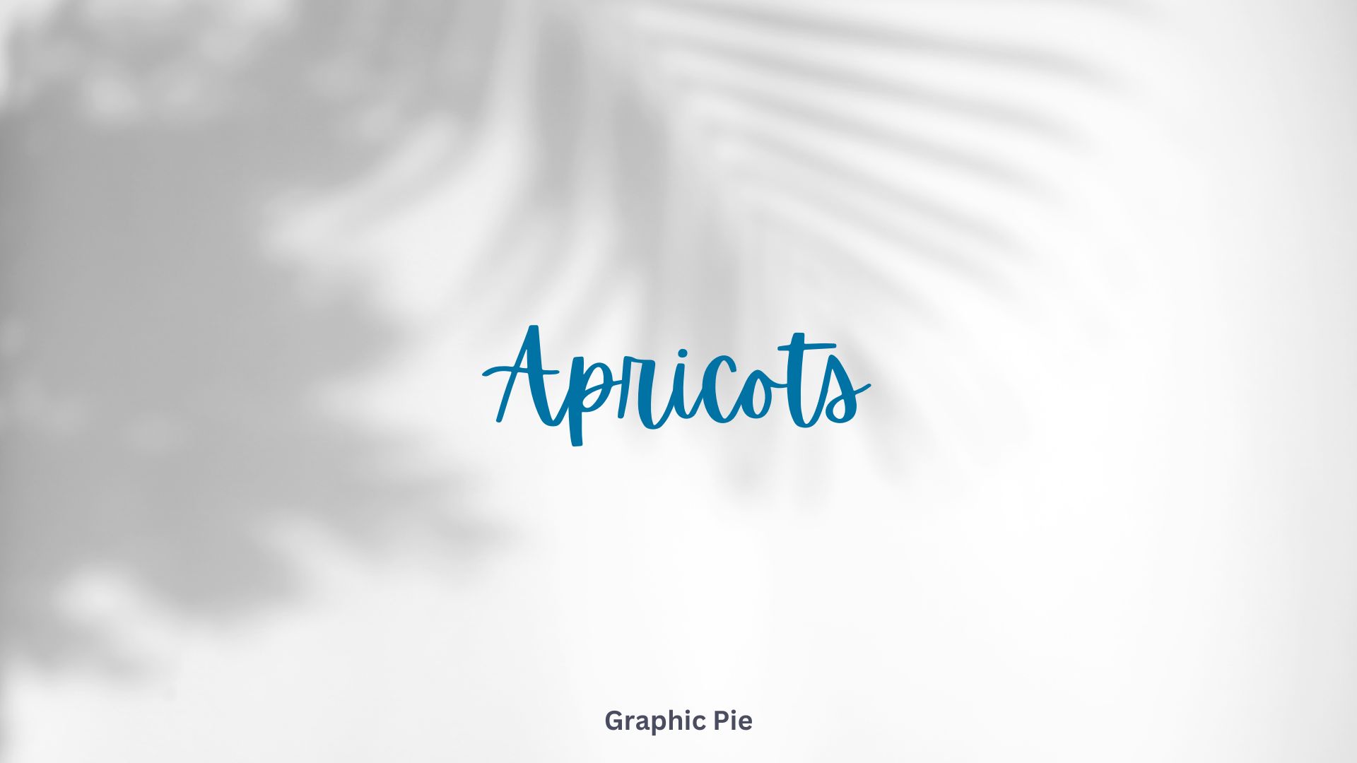 Calligraphy Fonts on Canva