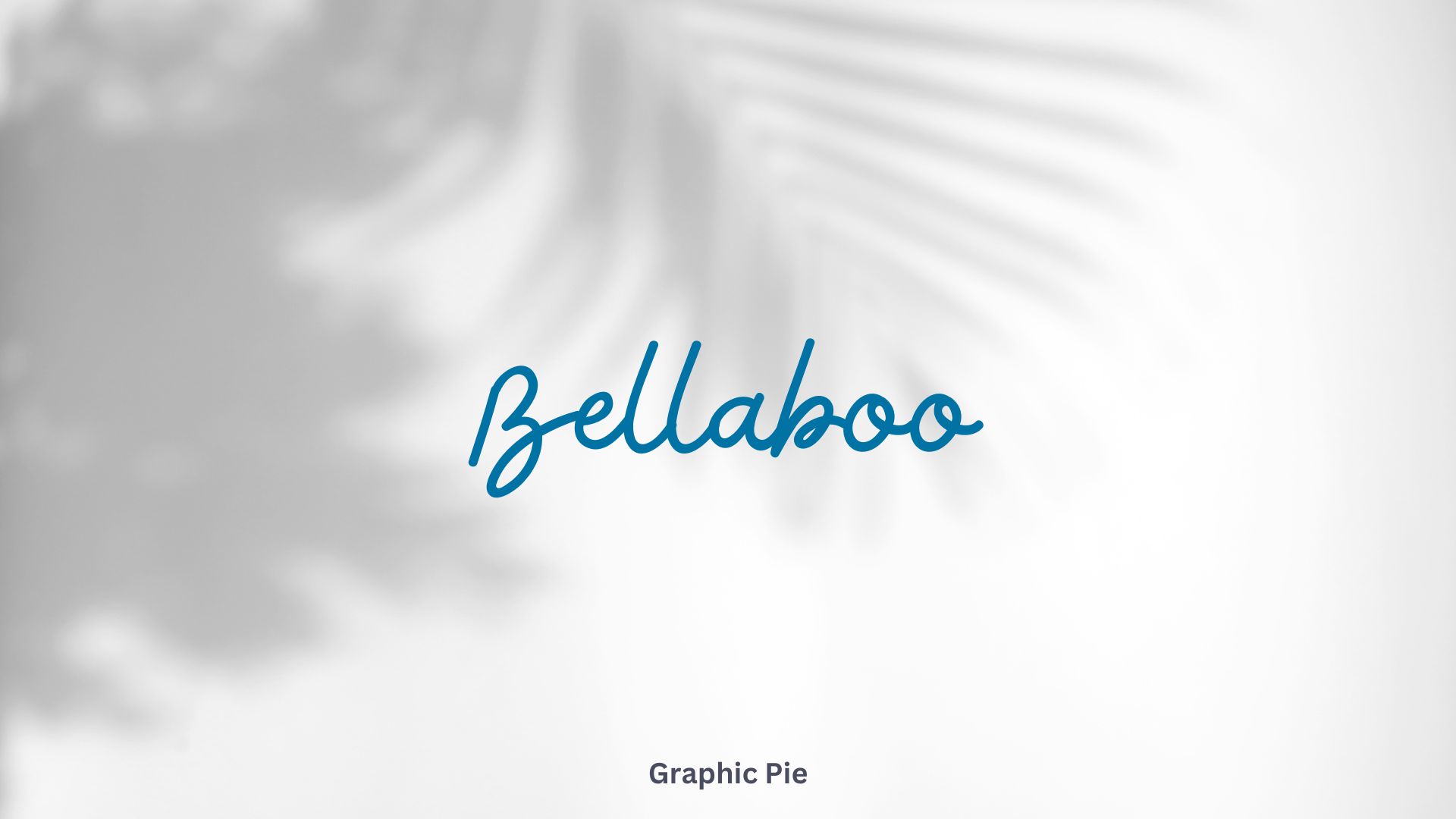 Calligraphy Fonts on Canva